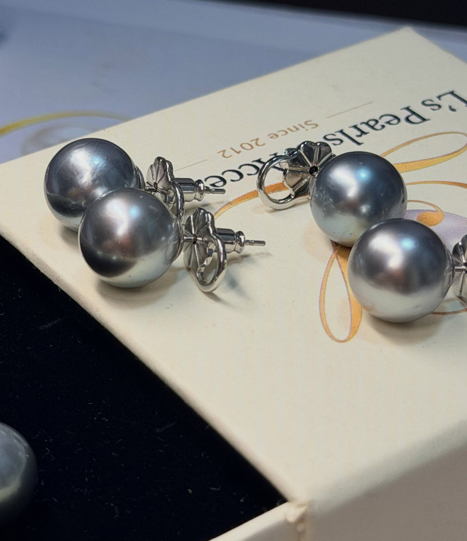 12mm Gray South Sea Pearl Earrings