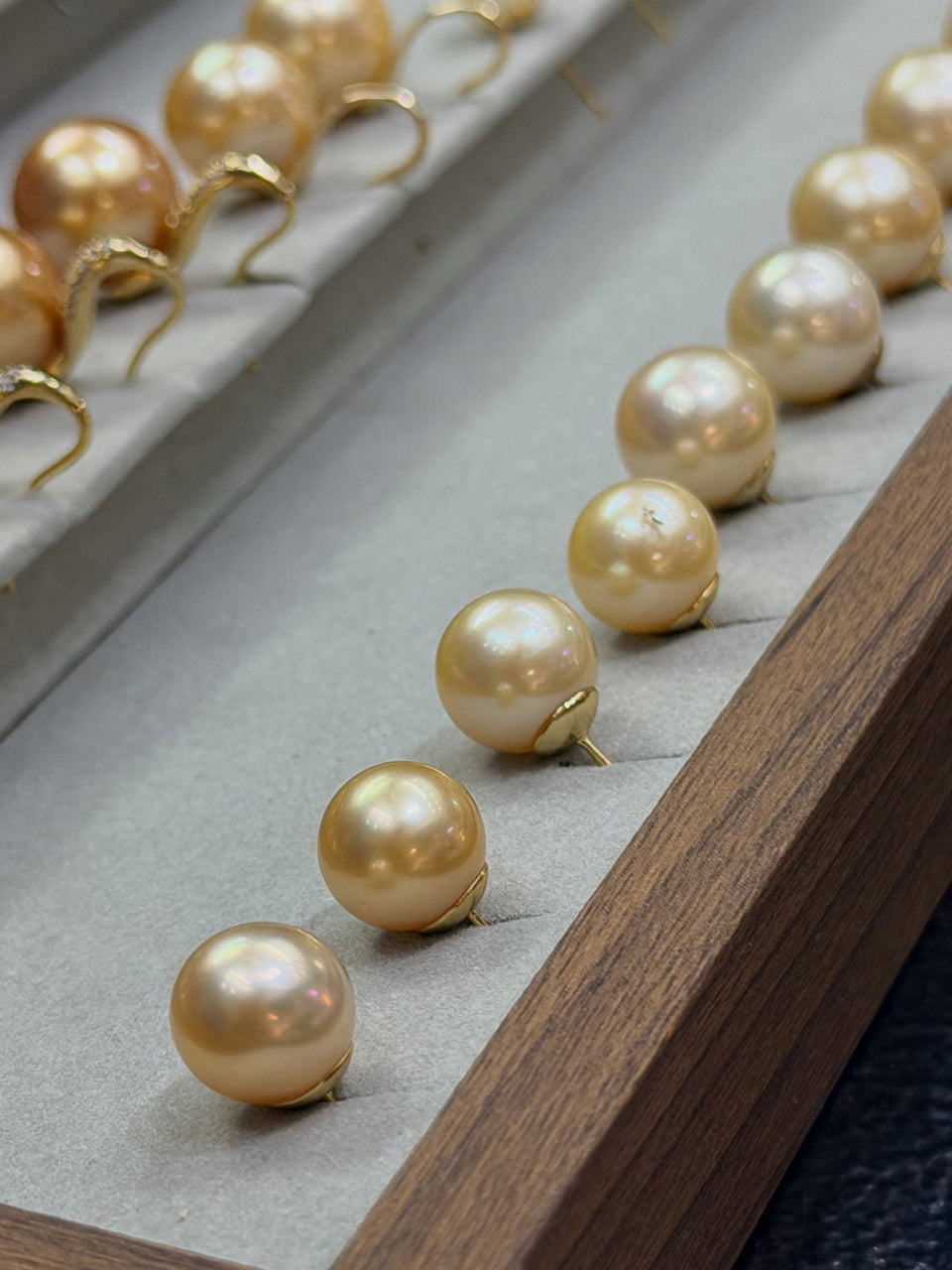 Champagne stud earrings