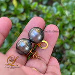 13mm dark gray south sea pearl stud earrings