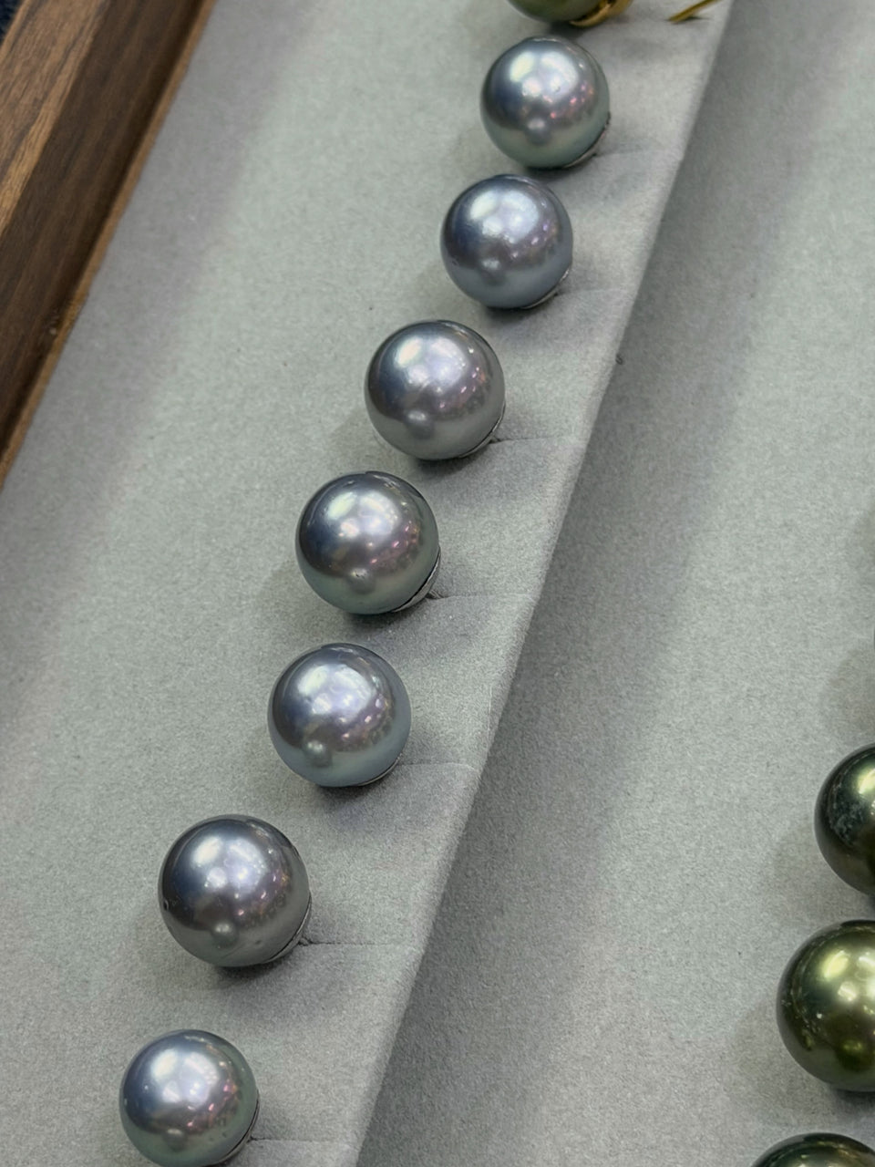 gray stud earrings